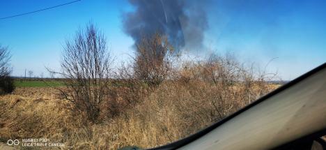 Incendii de vegetație, în mai multe localități din Bihor. Vezi care sunt acestea! (FOTO/VIDEO)