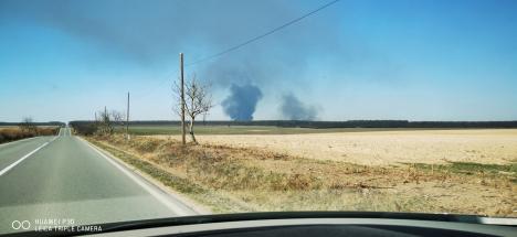 Incendii de vegetație, în mai multe localități din Bihor. Vezi care sunt acestea! (FOTO/VIDEO)