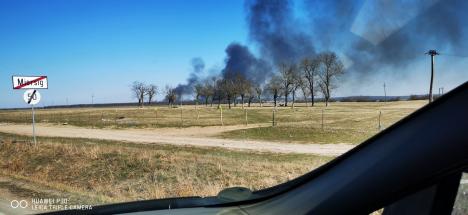 Incendii de vegetație, în mai multe localități din Bihor. Vezi care sunt acestea! (FOTO/VIDEO)