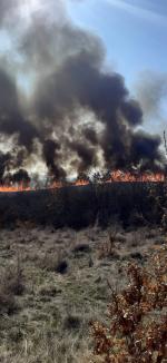 Incendii de vegetație, în mai multe localități din Bihor. Vezi care sunt acestea! (FOTO/VIDEO)