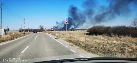 Incendii de vegetație, în mai multe localități din Bihor. Vezi care sunt acestea! (FOTO/VIDEO)