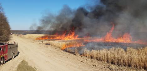 Incendii de vegetație, în mai multe localități din Bihor. Vezi care sunt acestea! (FOTO/VIDEO)