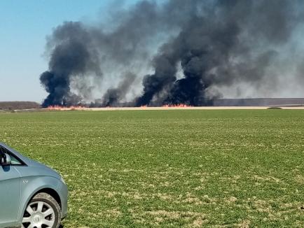 Incendiul de la Miersig: Au ars peste 100 de hectare cu trestie energetică. Cei care au pornit focul ar putea fi amendaţi cu 50.000 de lei (FOTO/VIDEO)