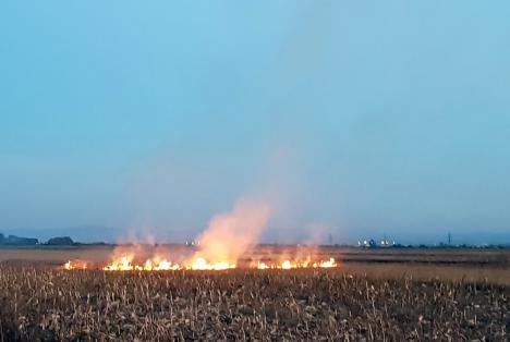 Nu vă jucaţi cu focul! Opt incendii de vegetaţie uscată, într-o singură zi (FOTO)