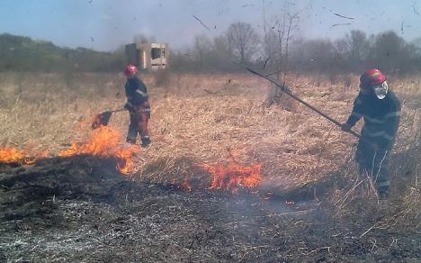 80 de hectare incendiate: Pompierii din Tinca s-au luptat aproape 9 ore cu flăcările care au cuprins o păşune