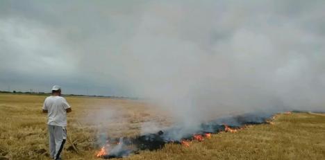 Nu vă jucați cu focul! Un fermier din Bihor a dat foc la miriște și a primit o amendă usturătoare de la comisarii de mediu (FOTO)