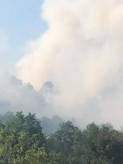 Incendiu uriaş în Bihor! Ard 100 de hectare de vegetaţie, focul s-a apropiat de o zona locuită, dar e ţinut sub control de pompieri (FOTO/VIDEO)