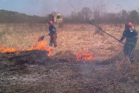 Pompierii avertizează: incendiile pe mirişti şi păşuni, un pericol