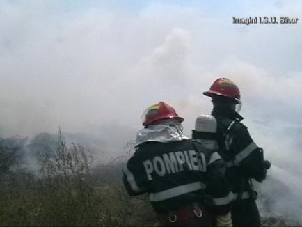 În nouă ore, în Bihor a ars vegetaţia de pe 56 de hectare