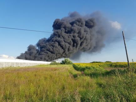 Incendiu URIAȘ la Nojorid: Un depozit de deșeuri plastice a luat foc! Mesaj RO-ALERT: Populația, sfătuită să nu iasă din casă (FOTO / VIDEO)
