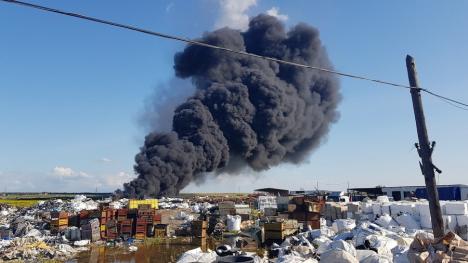 Incendiu URIAȘ la Nojorid: Un depozit de deșeuri plastice a luat foc! Mesaj RO-ALERT: Populația, sfătuită să nu iasă din casă (FOTO / VIDEO)