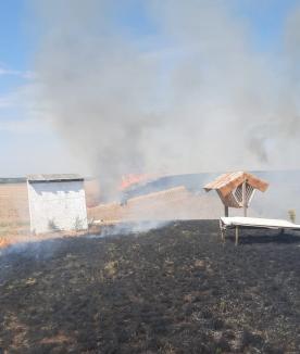 Lan de grâu, întins pe cinci hectare, distrus de un incendiu în Bihor (FOTO/VIDEO)