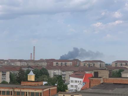 Incendiu puternic în Oradea, la o firmă de pe Calea Borșului (FOTO / VIDEO)