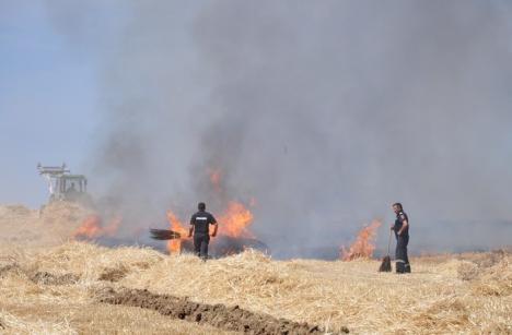 Iadul pe pământ! Cultură de orz, mistuită de flăcări în Husasău de Tinca (FOTO/VIDEO)