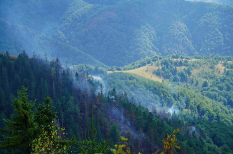 Foc în inima pădurii, lângă Stâna de Vale: Peste 100 de oameni merg zilnic pe jos, cu apa în spate, ca să stingă primul incendiu de pădure din istoria recentă a Bihorului (FOTO/VIDEO)