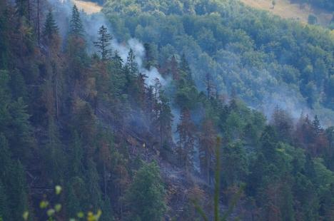 Foc în inima pădurii, lângă Stâna de Vale: Peste 100 de oameni merg zilnic pe jos, cu apa în spate, ca să stingă primul incendiu de pădure din istoria recentă a Bihorului (FOTO/VIDEO)