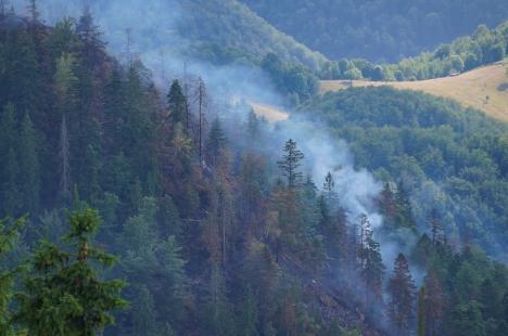 Foc în inima pădurii, lângă Stâna de Vale: Peste 100 de oameni merg zilnic pe jos, cu apa în spate, ca să stingă primul incendiu de pădure din istoria recentă a Bihorului (FOTO/VIDEO)