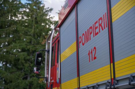 Foc în inima pădurii, lângă Stâna de Vale: Peste 100 de oameni merg zilnic pe jos, cu apa în spate, ca să stingă primul incendiu de pădure din istoria recentă a Bihorului (FOTO/VIDEO)