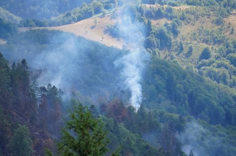 Foc în inima pădurii, lângă Stâna de Vale: Peste 100 de oameni merg zilnic pe jos, cu apa în spate, ca să stingă primul incendiu de pădure din istoria recentă a Bihorului (FOTO/VIDEO)