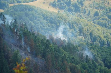 Foc în inima pădurii, lângă Stâna de Vale: Peste 100 de oameni merg zilnic pe jos, cu apa în spate, ca să stingă primul incendiu de pădure din istoria recentă a Bihorului (FOTO/VIDEO)