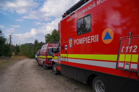 Foc în inima pădurii, lângă Stâna de Vale: Peste 100 de oameni merg zilnic pe jos, cu apa în spate, ca să stingă primul incendiu de pădure din istoria recentă a Bihorului (FOTO/VIDEO)