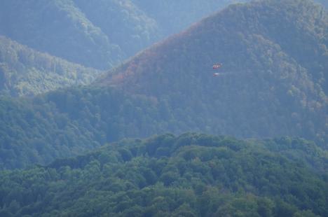 Foc în inima pădurii, lângă Stâna de Vale: Peste 100 de oameni merg zilnic pe jos, cu apa în spate, ca să stingă primul incendiu de pădure din istoria recentă a Bihorului (FOTO/VIDEO)