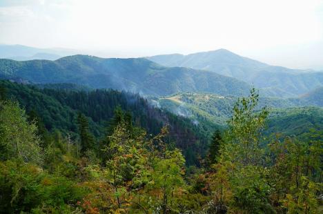 Foc în inima pădurii, lângă Stâna de Vale: Peste 100 de oameni merg zilnic pe jos, cu apa în spate, ca să stingă primul incendiu de pădure din istoria recentă a Bihorului (FOTO/VIDEO)