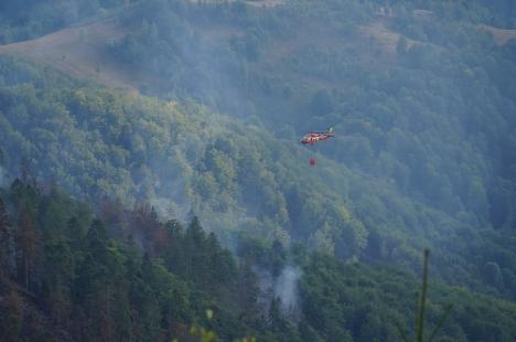 Foc în inima pădurii, lângă Stâna de Vale: Peste 100 de oameni merg zilnic pe jos, cu apa în spate, ca să stingă primul incendiu de pădure din istoria recentă a Bihorului (FOTO/VIDEO)