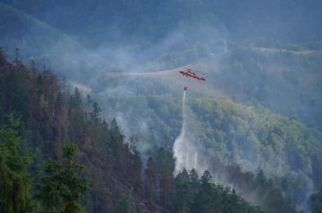 Foc în inima pădurii, lângă Stâna de Vale: Peste 100 de oameni merg zilnic pe jos, cu apa în spate, ca să stingă primul incendiu de pădure din istoria recentă a Bihorului (FOTO/VIDEO)