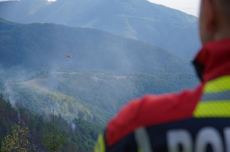 Foc în inima pădurii, lângă Stâna de Vale: Peste 100 de oameni merg zilnic pe jos, cu apa în spate, ca să stingă primul incendiu de pădure din istoria recentă a Bihorului (FOTO/VIDEO)