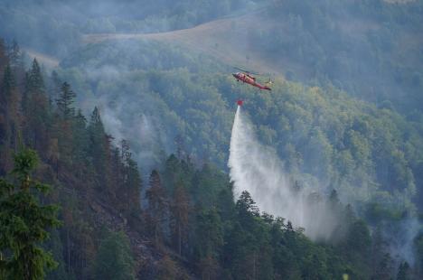 Foc în inima pădurii, lângă Stâna de Vale: Peste 100 de oameni merg zilnic pe jos, cu apa în spate, ca să stingă primul incendiu de pădure din istoria recentă a Bihorului (FOTO/VIDEO)