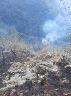 Foc în inima pădurii, lângă Stâna de Vale: Peste 100 de oameni merg zilnic pe jos, cu apa în spate, ca să stingă primul incendiu de pădure din istoria recentă a Bihorului (FOTO/VIDEO)