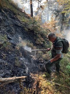 Foc în inima pădurii, lângă Stâna de Vale: Peste 100 de oameni merg zilnic pe jos, cu apa în spate, ca să stingă primul incendiu de pădure din istoria recentă a Bihorului (FOTO/VIDEO)