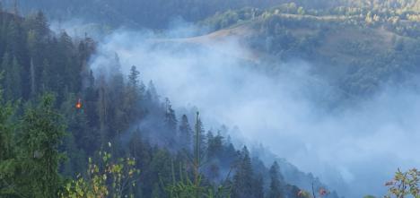 Foc în inima pădurii, lângă Stâna de Vale: Peste 100 de oameni merg zilnic pe jos, cu apa în spate, ca să stingă primul incendiu de pădure din istoria recentă a Bihorului (FOTO/VIDEO)