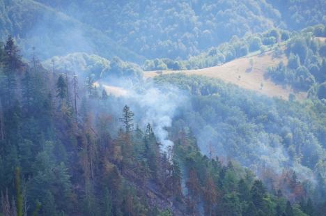 Foc în inima pădurii, lângă Stâna de Vale: Peste 100 de oameni merg zilnic pe jos, cu apa în spate, ca să stingă primul incendiu de pădure din istoria recentă a Bihorului (FOTO/VIDEO)