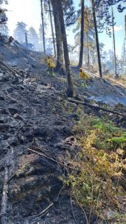 Foc în inima pădurii, lângă Stâna de Vale: Peste 100 de oameni merg zilnic pe jos, cu apa în spate, ca să stingă primul incendiu de pădure din istoria recentă a Bihorului (FOTO/VIDEO)