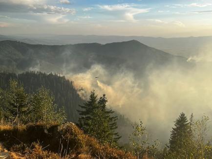 Foc în inima pădurii, lângă Stâna de Vale: Peste 100 de oameni merg zilnic pe jos, cu apa în spate, ca să stingă primul incendiu de pădure din istoria recentă a Bihorului (FOTO/VIDEO)