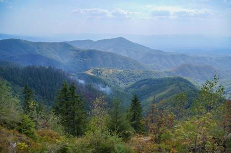 Foc în inima pădurii, lângă Stâna de Vale: Peste 100 de oameni merg zilnic pe jos, cu apa în spate, ca să stingă primul incendiu de pădure din istoria recentă a Bihorului (FOTO/VIDEO)