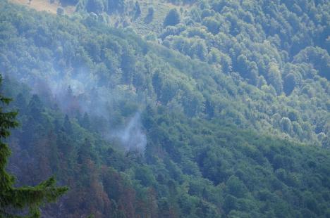 Foc în inima pădurii, lângă Stâna de Vale: Peste 100 de oameni merg zilnic pe jos, cu apa în spate, ca să stingă primul incendiu de pădure din istoria recentă a Bihorului (FOTO/VIDEO)