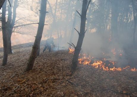 Incendiu în pădure la Şinteu. Un bărbat a fost găsit mort