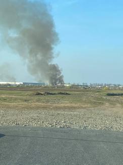 Incendiu întins pe mai bine de un hectar, în spatele Parcului Industrial 1 din Oradea (FOTO / VIDEO)