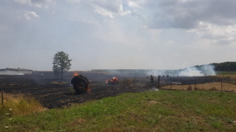 Incendiu de proporţii în Nojorid: Au ars un utilaj agricol, baloți de paie, 10 stupi de albine și vegetație uscată pe zeci de hectare (FOTO / VIDEO)
