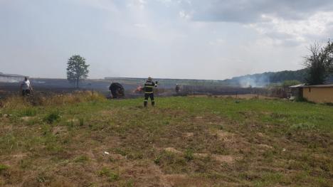 Incendiu de proporţii în Nojorid: Au ars un utilaj agricol, baloți de paie, 10 stupi de albine și vegetație uscată pe zeci de hectare (FOTO / VIDEO)