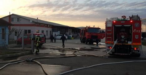 Incendiu de proporţii în Oradea, la o firmă din Parcul Industrial (FOTO / VIDEO)