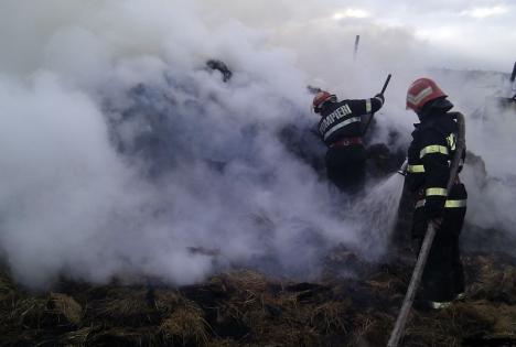 Zece incendii în trei zile în Bihor: Flăcările au mistuit 16 hectare de teren, 60 de pomi fructiferi, dar şi un cimitir