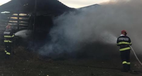 Angajaţii unei fabrici de mobilă din Bihor au dat foc la rumeguş şi au plecat acasă! Incendiul a cuprins o magazie plină cu cherestea (FOTO / VIDEO)