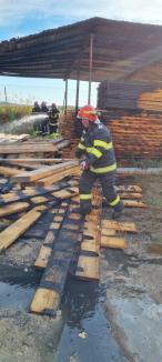 Angajaţii unei fabrici de mobilă din Bihor au dat foc la rumeguş şi au plecat acasă! Incendiul a cuprins o magazie plină cu cherestea (FOTO / VIDEO)