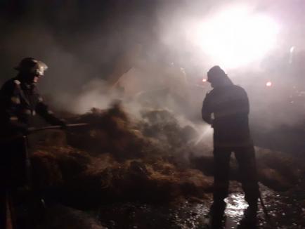 Incendiu violent în Bihor: Două persoane au fost rănite, iar 62 de animale au ars (FOTO)
