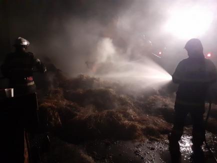 Incendiu violent în Bihor: Două persoane au fost rănite, iar 62 de animale au ars (FOTO)