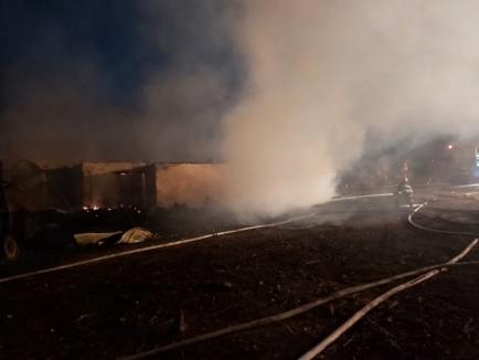 Pagube uriașe în urma incendiului de la fabrica din Răbăgani. De la ce a pornit dezastrul (FOTO/VIDEO)